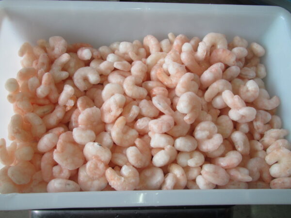 Vannamei shrimp CPUD - Image 2