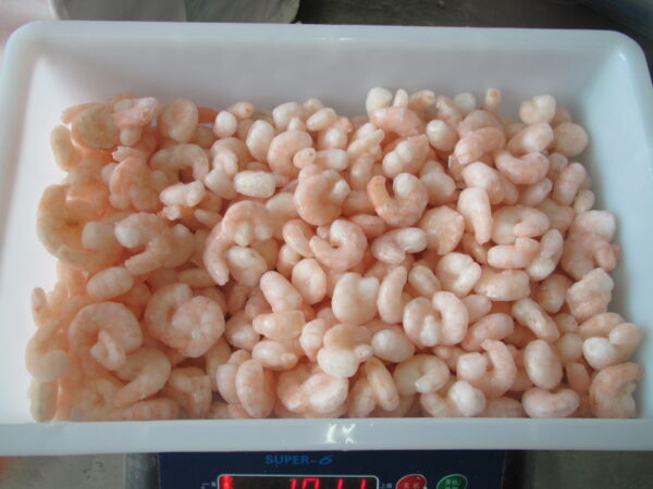 Vannamei shrimp CPUD - Image 3