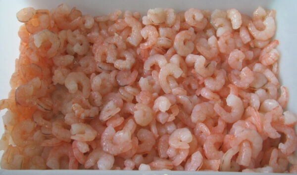 Vannamei shrimp CPUD