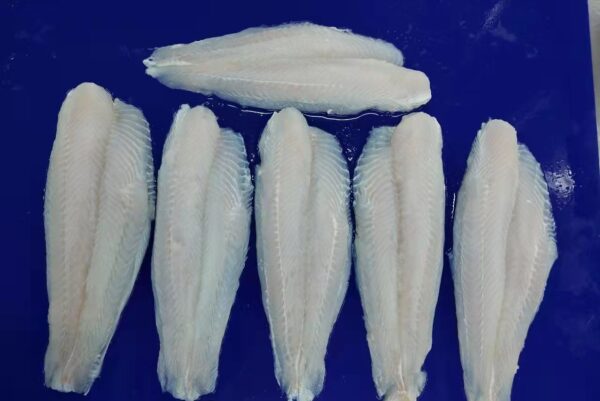 Pangasius fillet