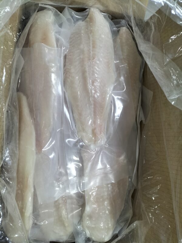 Pangasius fillet - Image 6