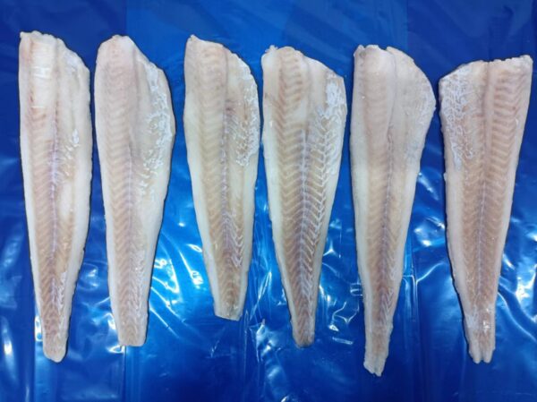 Pollock fillet