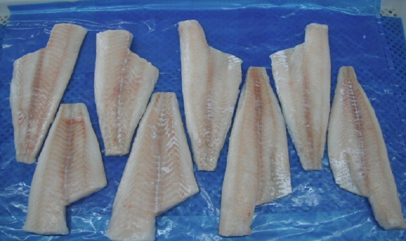 haddock fillet haddock fillet