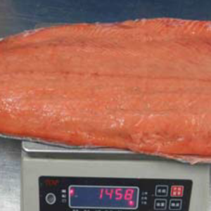 Chum Salmon fillet