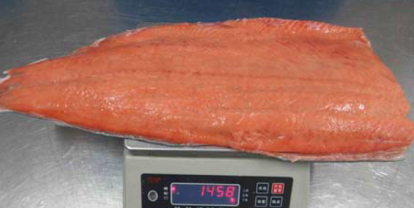 Chum Salmon fillet