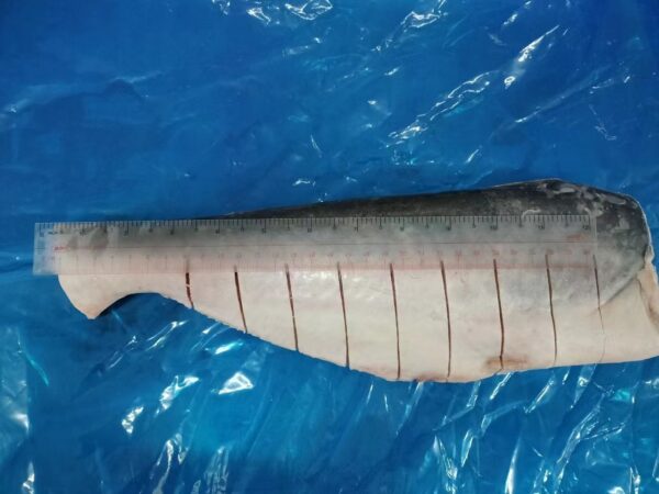 Whole pangasius HGT - Image 4
