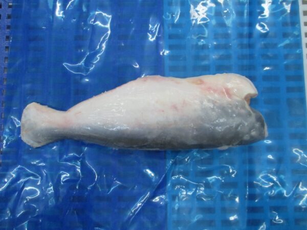 Whole pangasius HGT - Image 3