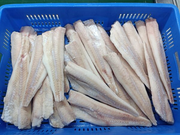 Pollock fillet - Image 5